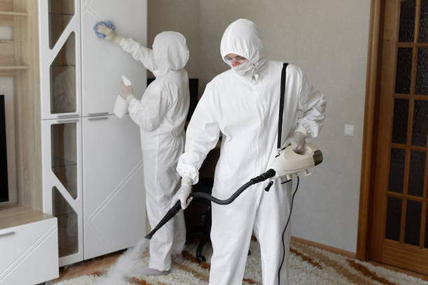 24/7 Emergency Odor Removal experts in Coleman, MI