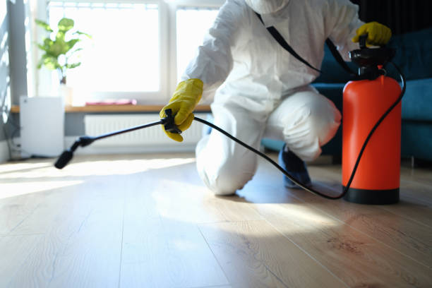 Reliable Odor Removal contractor in Coleman, MI by Trauma Clean Pros